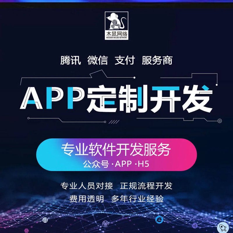 软件开发公司的时代之光：引领科技潮流